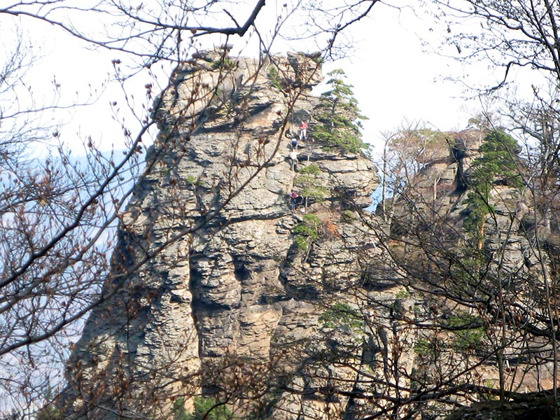 dunkelsteinerwald